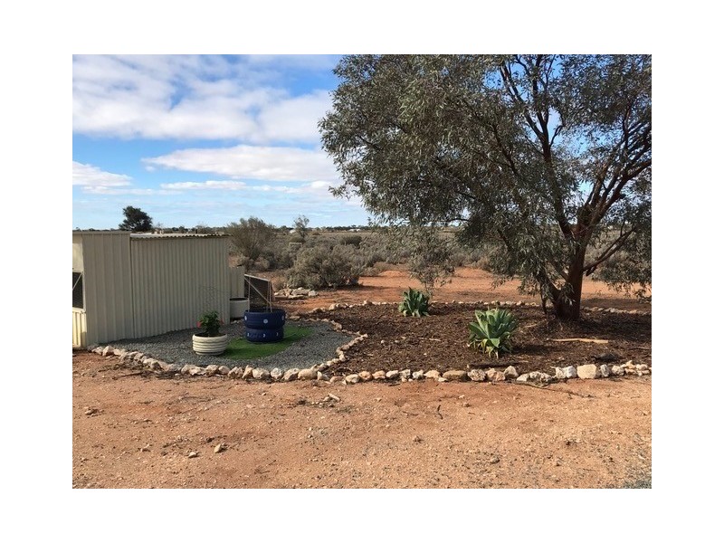 498 Ring Road, Morgan SA 5320