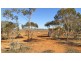 498 Ring Road, Morgan SA 5320