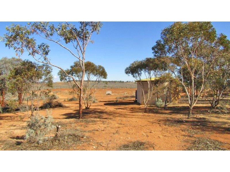498 Ring Road, Morgan SA 5320