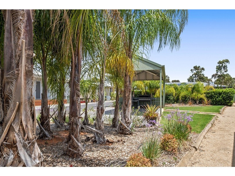 No. 25 49 Peake Terrace, Waikerie SA 5330