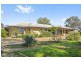12 Cockin Road, Barmera SA 5345