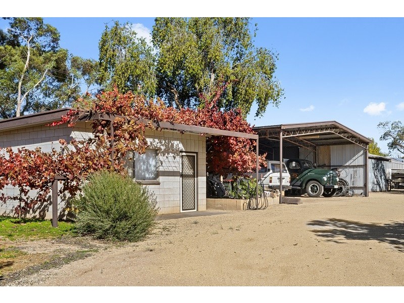 12 Cockin Road, Barmera SA 5345