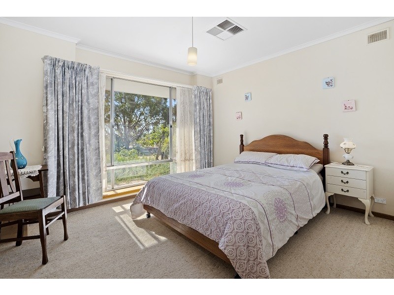 12 Cockin Road, Barmera SA 5345