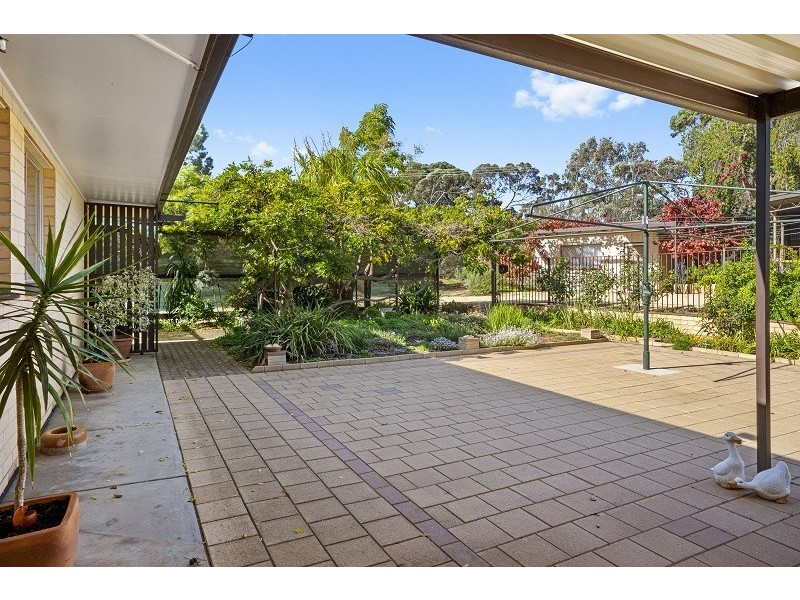 12 Cockin Road, Barmera SA 5345