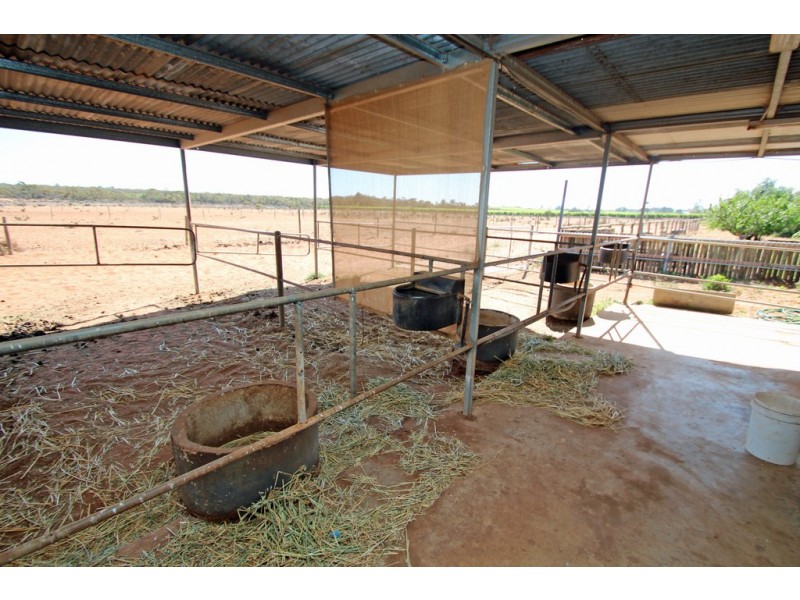 218 West Road, Glossop SA 5344