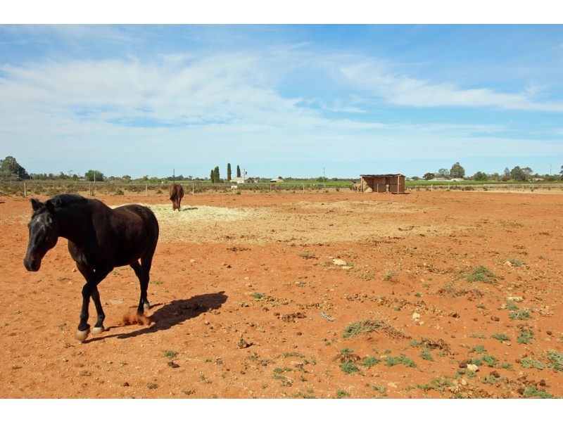 Section 605 West Road, Glossop SA 5344