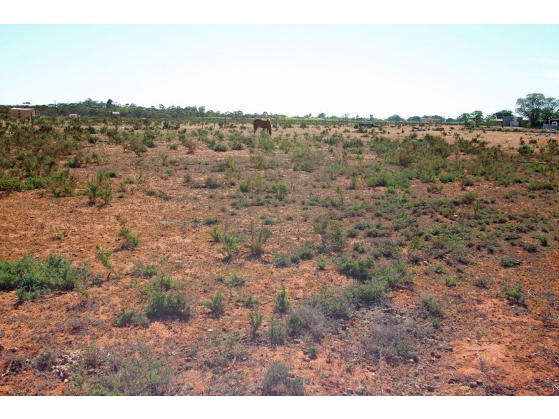 Section 605 West Road, Glossop SA 5344