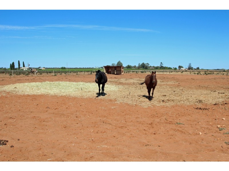 Section 605 West Road, Glossop SA 5344