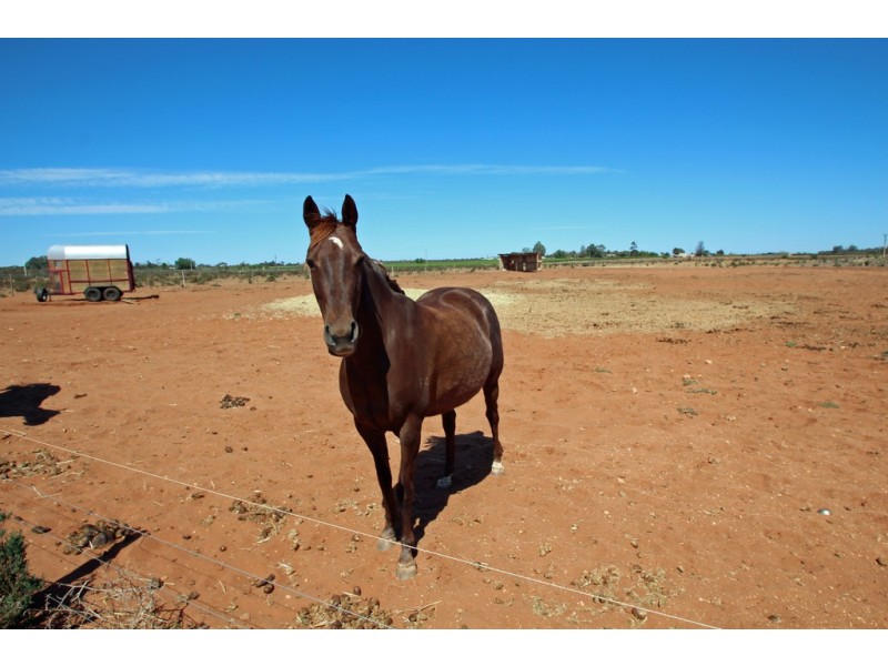 Section 605 West Road, Glossop SA 5344