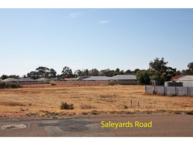 Lot 46 Stuart Avenue, Loxton SA 5333