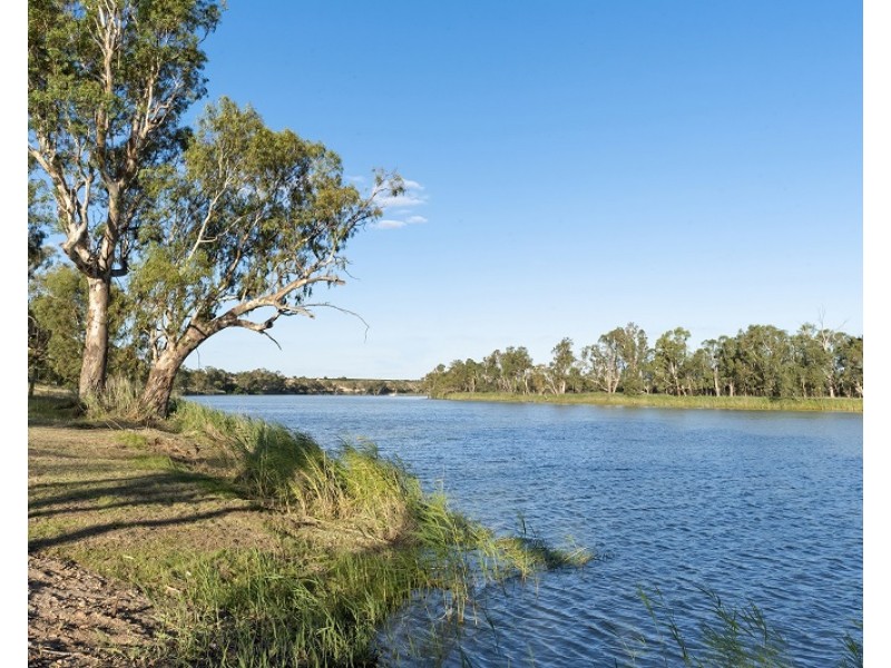 77 Promnitz Road, Waikerie SA 5330