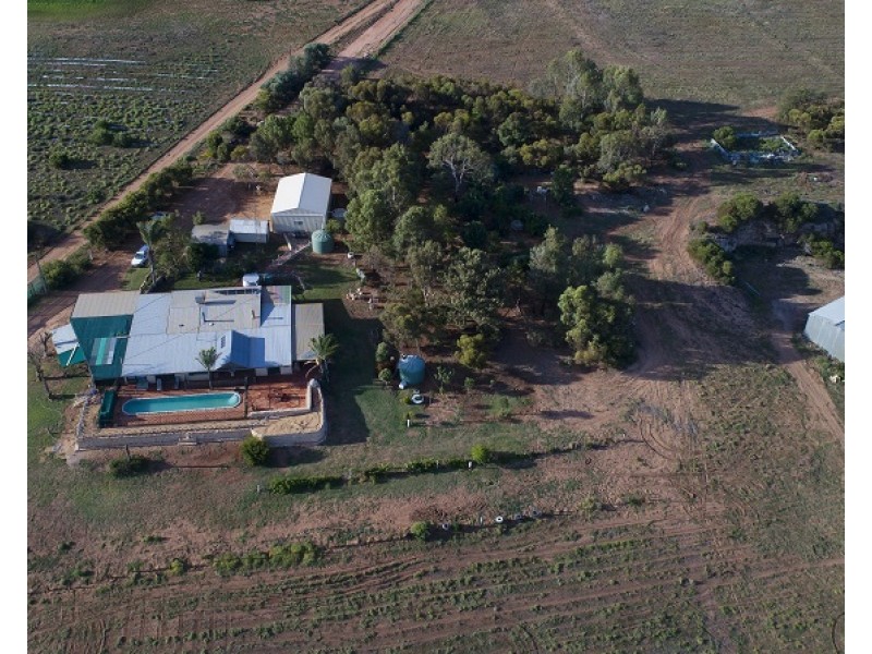 77 Promnitz Road, Waikerie SA 5330