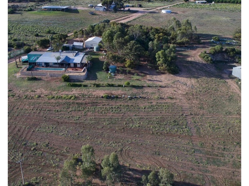 77 Promnitz Road, Waikerie SA 5330