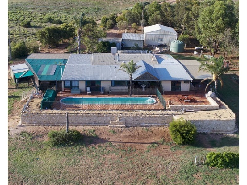 77 Promnitz Road, Waikerie SA 5330