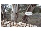 24 Pontt Road, Loxton SA 5333