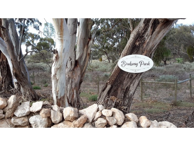 24 Pontt Road, Loxton SA 5333