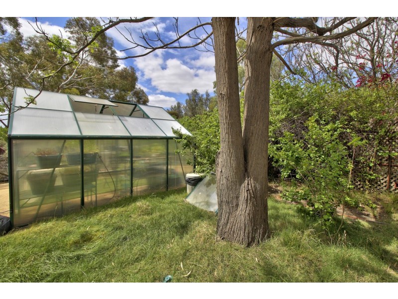 24 Pontt Road, Loxton SA 5333