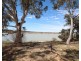 58 Pike Creek Road, Lyrup SA 5343