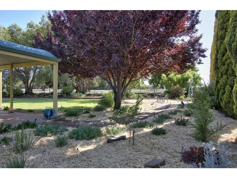 244 Katarapko Crescent, Winkie SA 5343