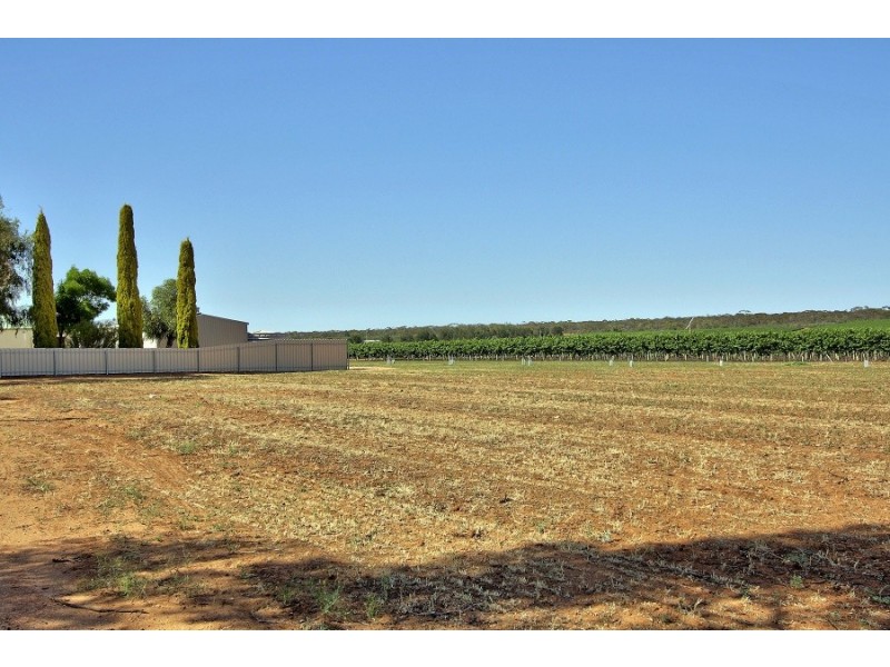 244 Katarapko Crescent, Winkie SA 5343