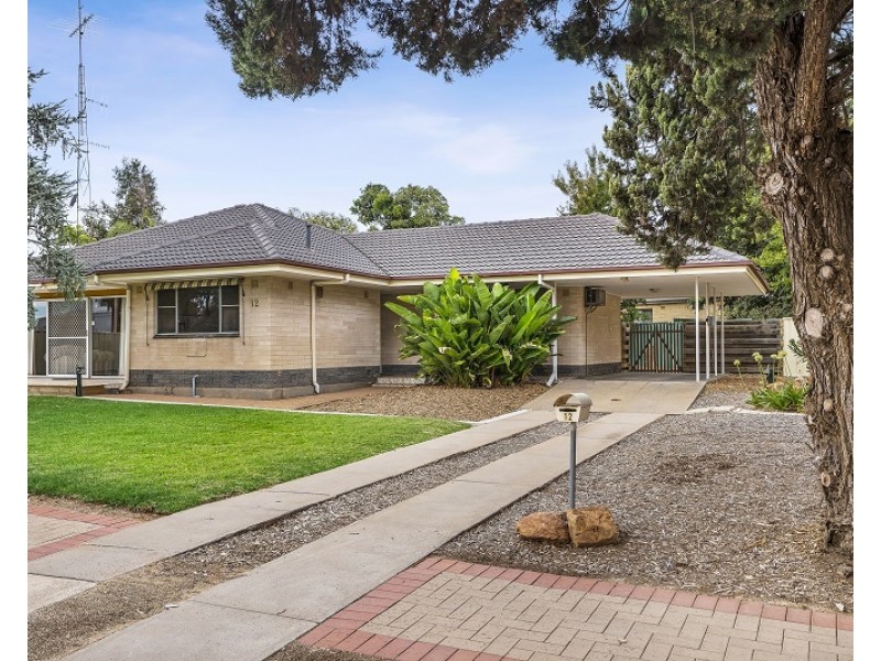 12 Nookamka Terrace, Barmera SA 5345