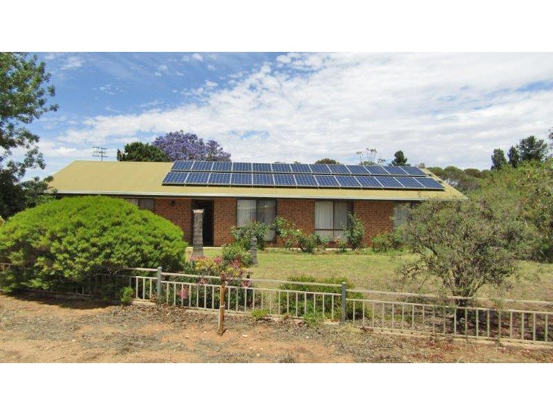 87 Medley Road, Waikerie SA 5330