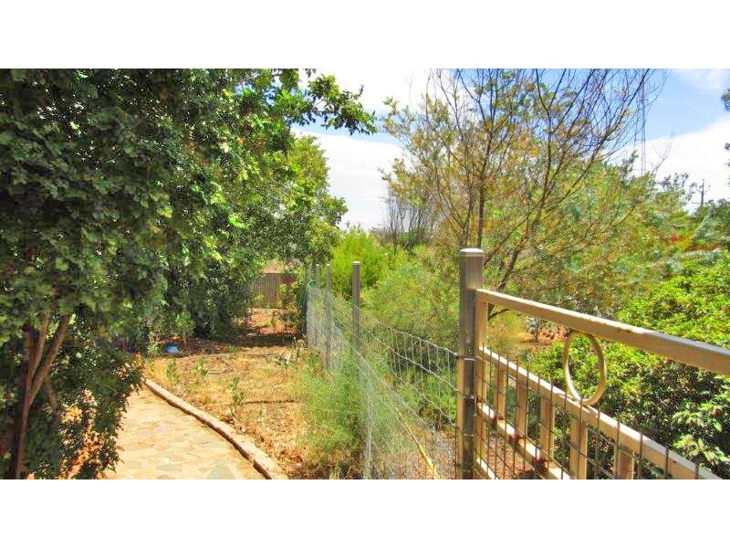 87 Medley Road, Waikerie SA 5330