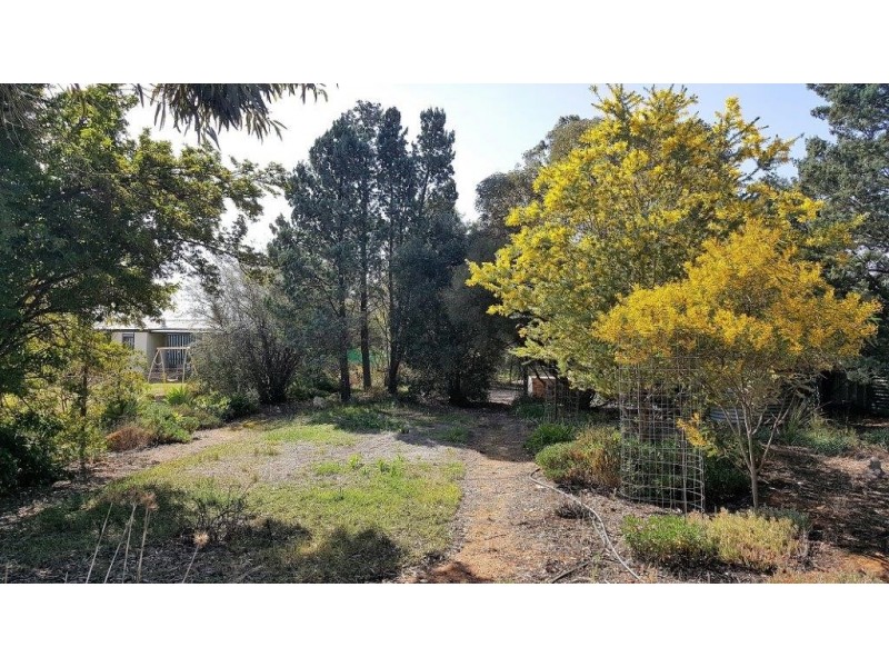 87 Medley Road, Waikerie SA 5330