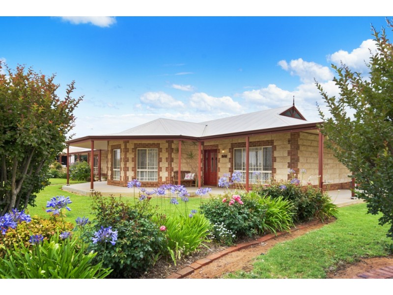 95 Tapalin Street, Renmark SA 5341