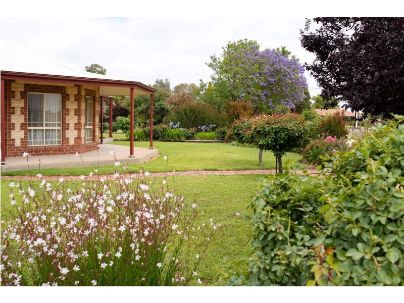 95 Tapalin Street, Renmark SA 5341