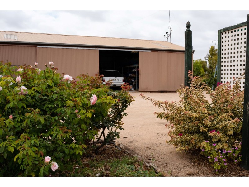 95 Tapalin Street, Renmark SA 5341