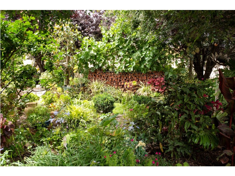 95 Tapalin Street, Renmark SA 5341