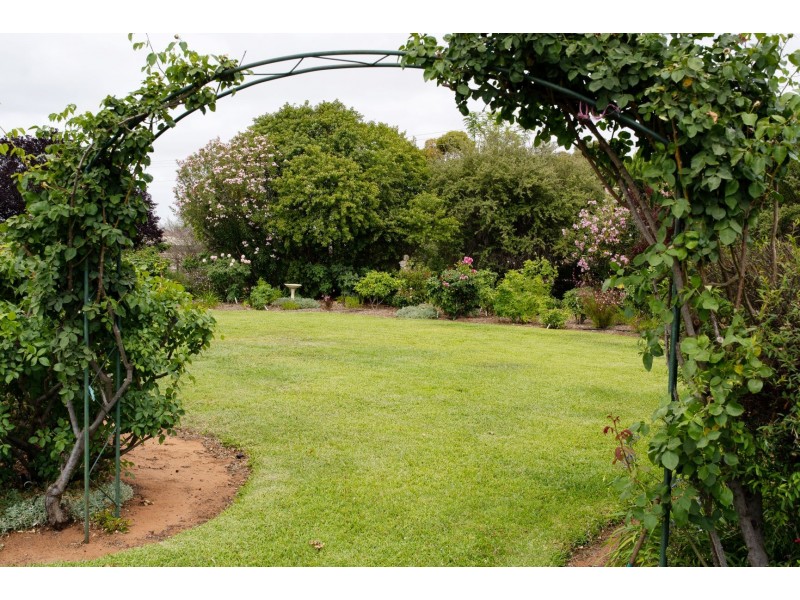 95 Tapalin Street, Renmark SA 5341