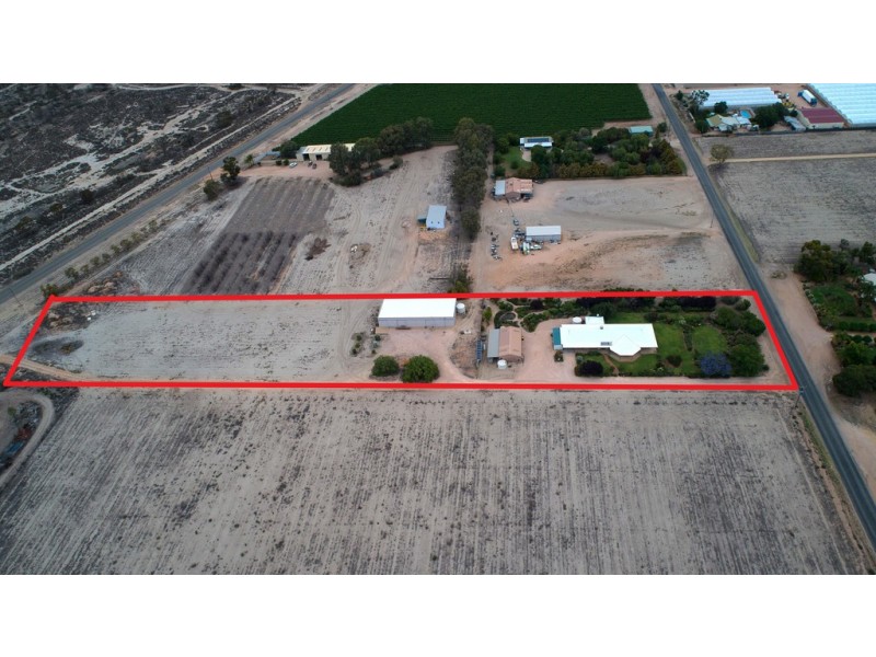 95 Tapalin Street, Renmark SA 5341