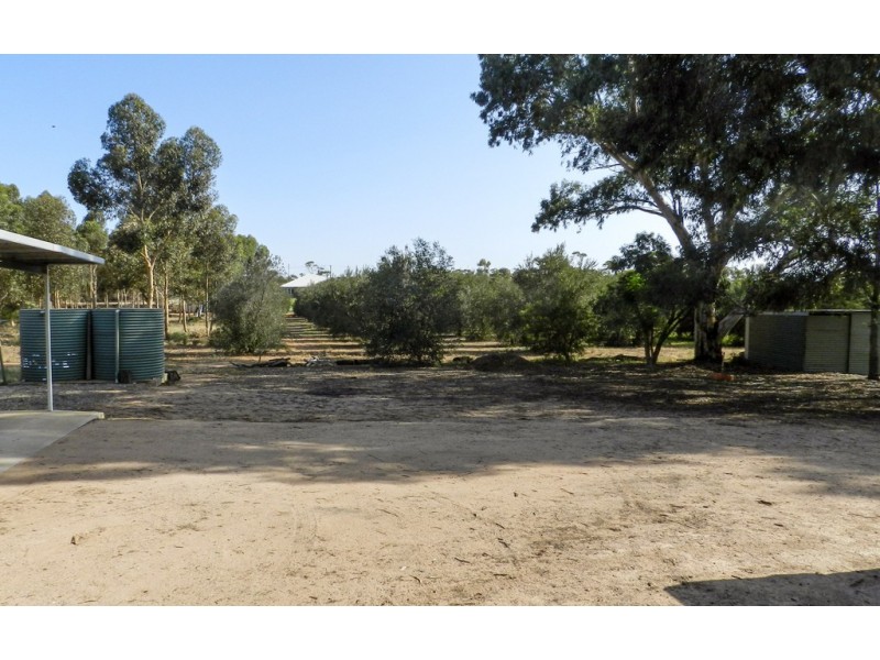 108 Bassham Road, Barmera SA 5345