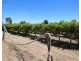 628A Chowilla Street, Renmark SA 5341