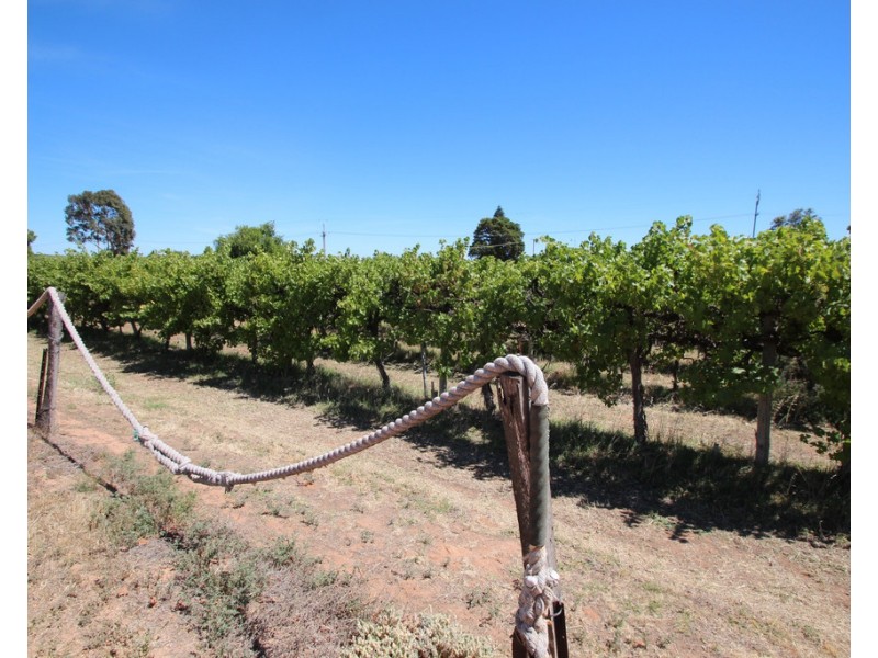 628A Chowilla Street, Renmark SA 5341