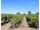 628A Chowilla Street, Renmark SA 5341