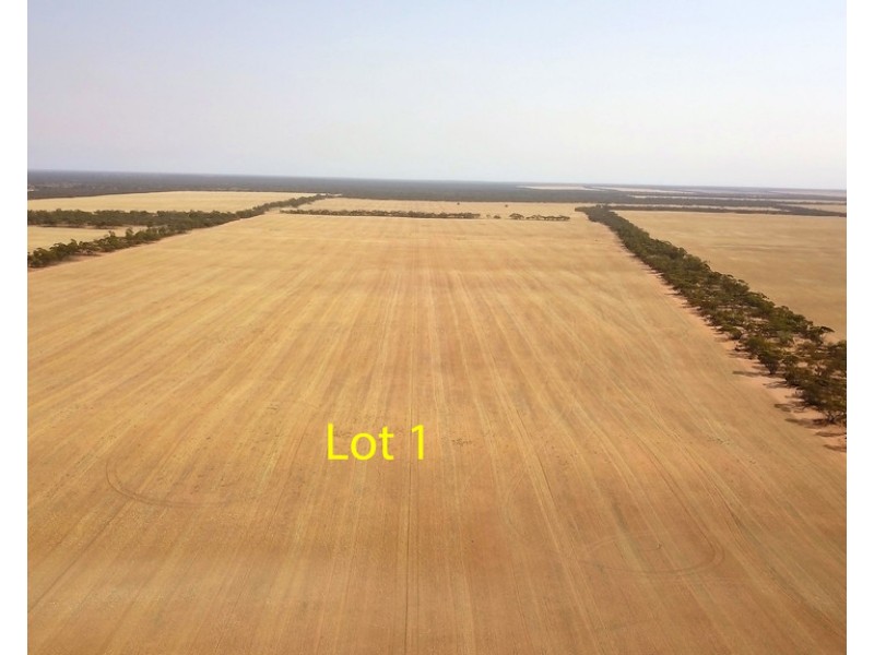 538 Devlins Pound Road, Pooginook SA 5330