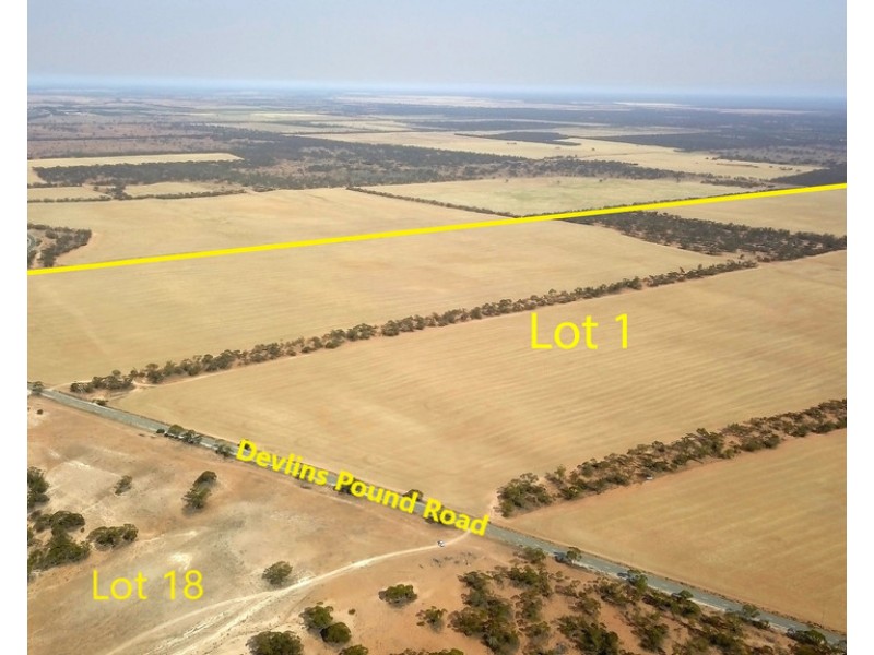 538 Devlins Pound Road, Pooginook SA 5330