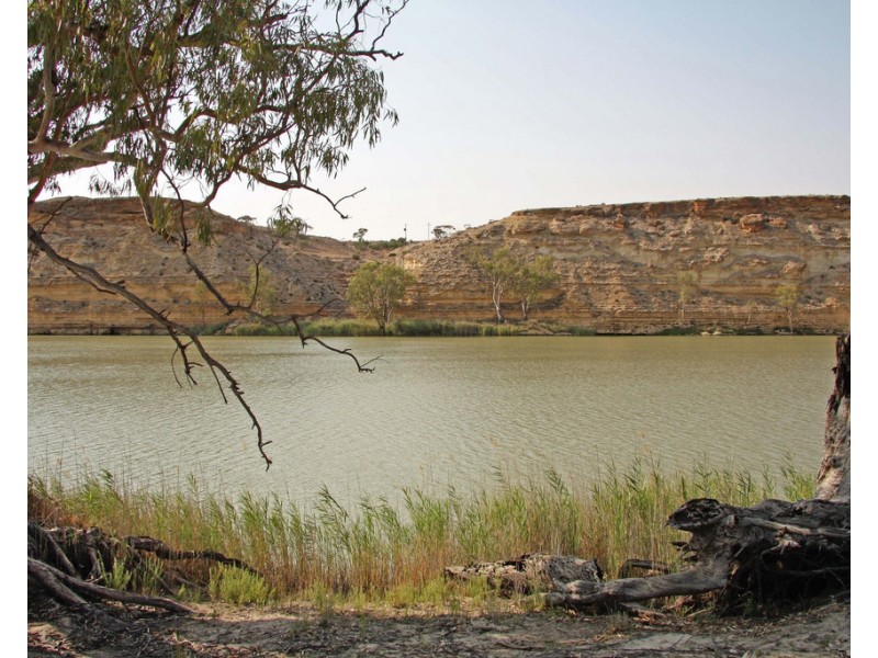 538 Devlins Pound Road, Pooginook SA 5330