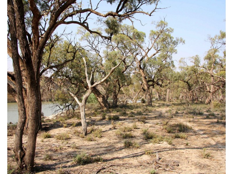 538 Devlins Pound Road, Pooginook SA 5330