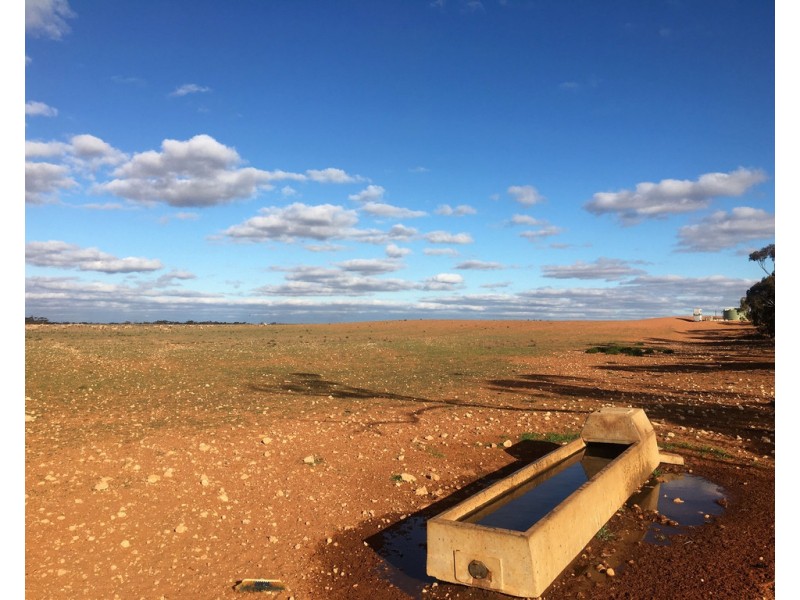 538 Devlins Pound Road, Pooginook SA 5330