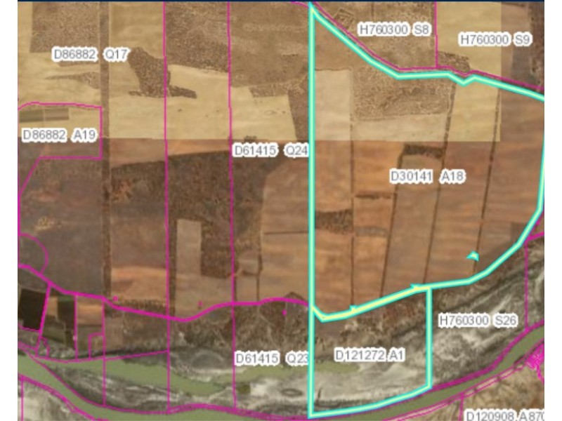 538 Devlins Pound Road, Pooginook SA 5330