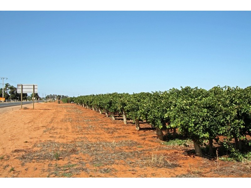 Lots 63-67 17807 Sturt Highway, Barmera SA 5345