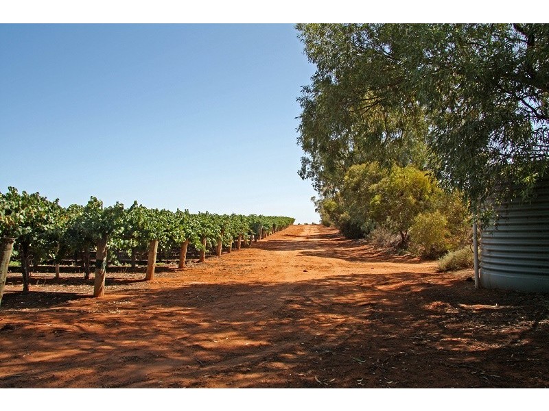 Lots 63-67 17807 Sturt Highway, Barmera SA 5345