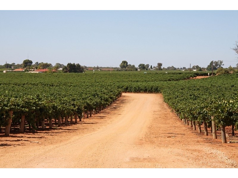 Lots 63-67 17807 Sturt Highway, Barmera SA 5345