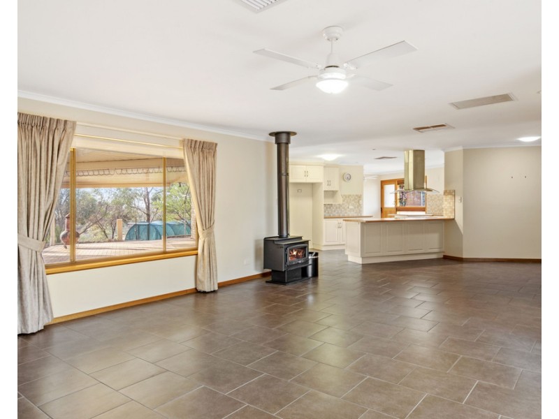 47 Murtho Road, Paringa SA 5340