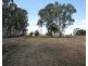 Lot 288 Starcevich Road, Loxton SA 5333
