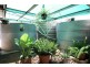 2757 Heinrich Road, Wunkar SA 5311